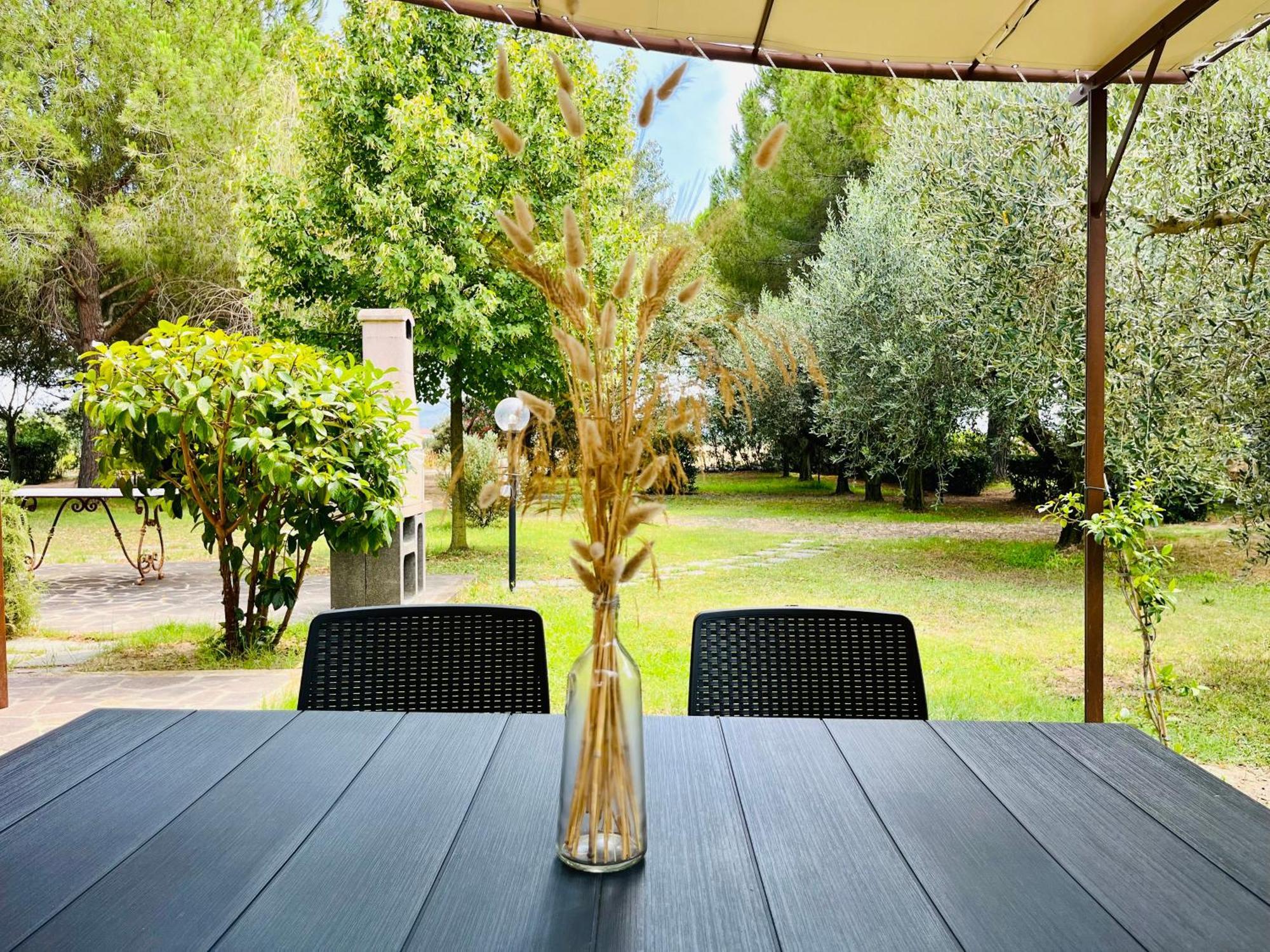 Agriturismo Salcino Grosseto Exterior foto